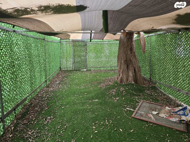 שמעון בר גיורא 