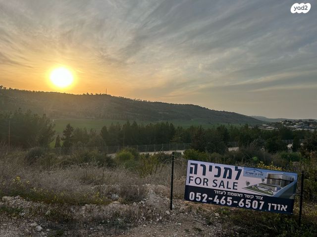 מגרשים, גבעות עדן