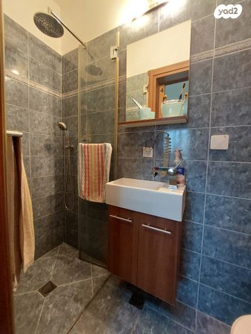 גג/ פנטהאוז, תלמים, גני אביב, לוד