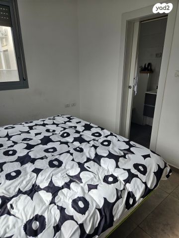 דירת גן, כלי שיר, נווה מנחם, קרני שומרון