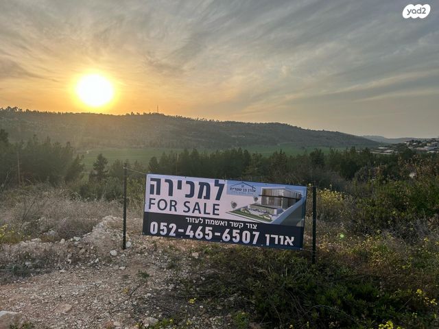 מגרשים
