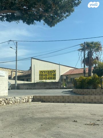הנשיא 31