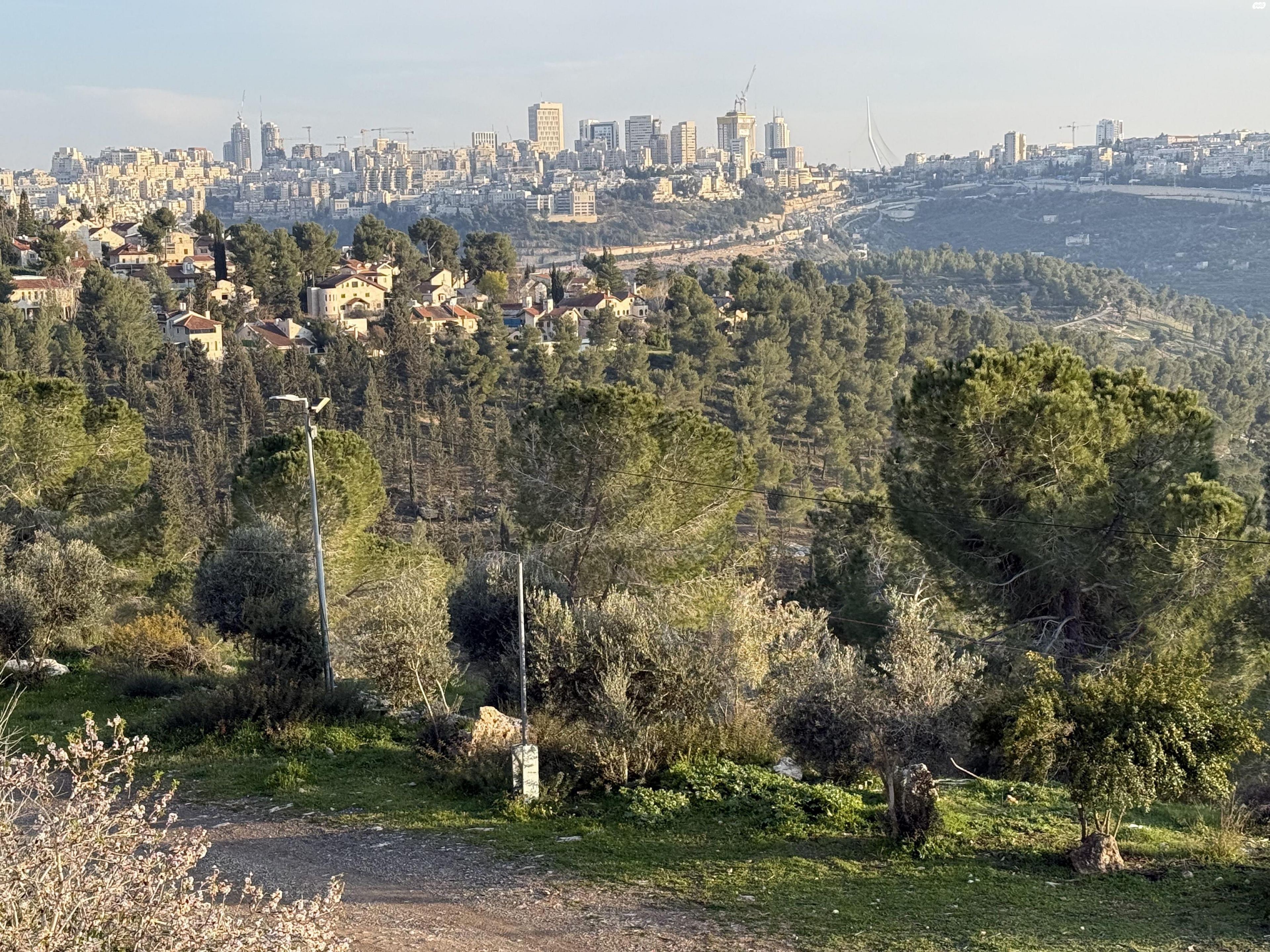 נתיבי עם 11