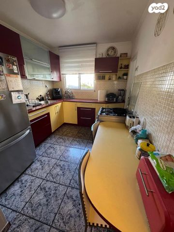 דירת גן, רמב"ם, כוכב הצפון, אשקלון