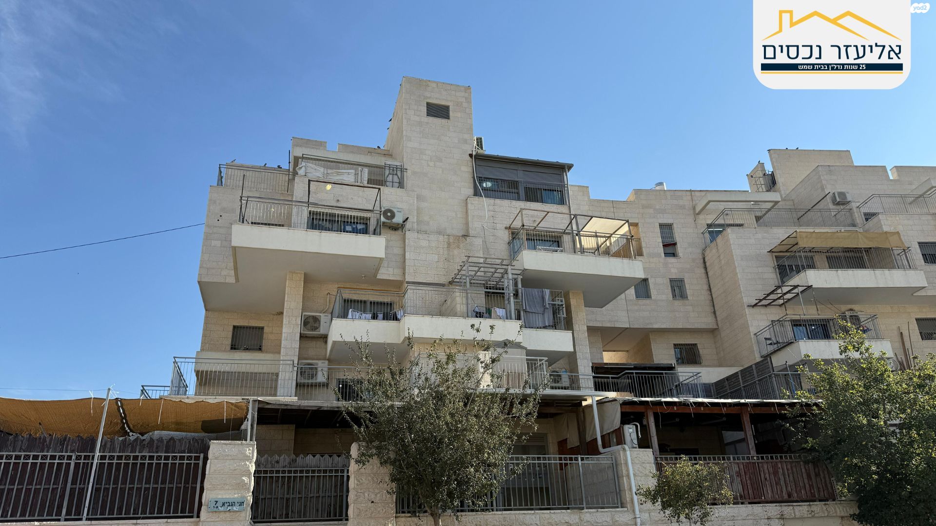 חגי הנביא 7