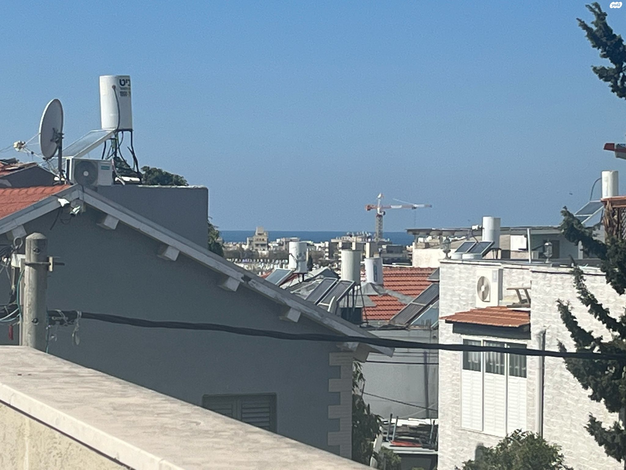 השלושה 