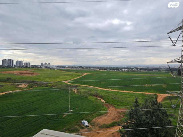 כורזים 
