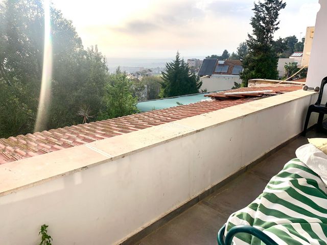 דירה, החרצית, נווה יוסף, עפולה