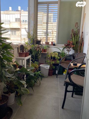 דירה, דליה, הל"ה, גבעתיים