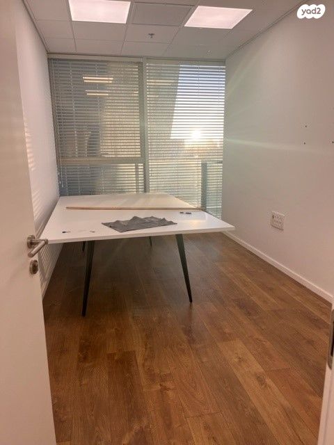 ראול ולנברג 