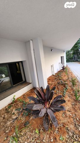 משרדים, יוחנן הורקנוס 29, הצפון הישן - צפון, תל אביב יפו