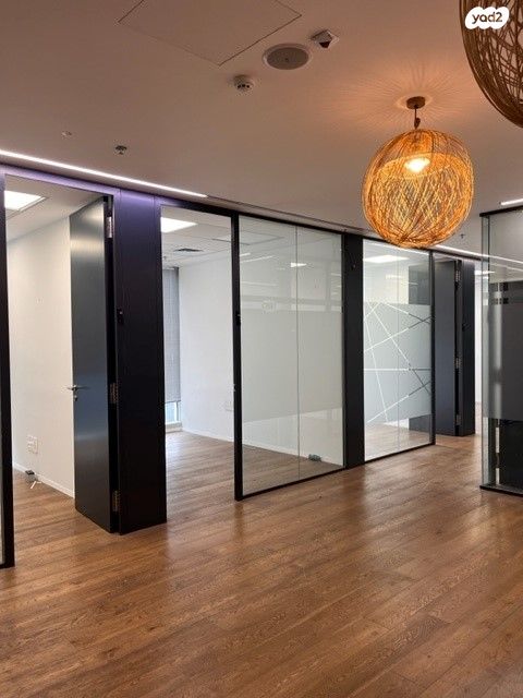 ראול ולנברג 