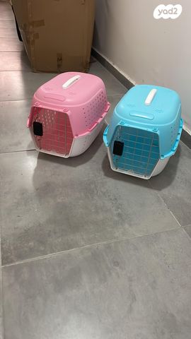 תמונת מודעה - חיות מחמד