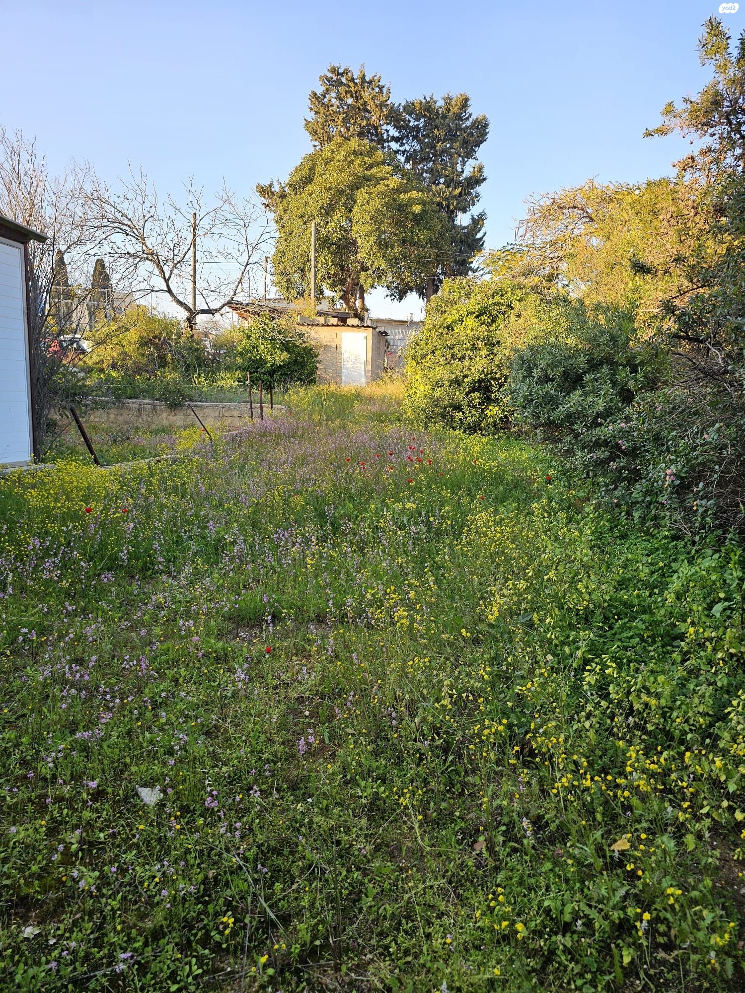 קפלן 