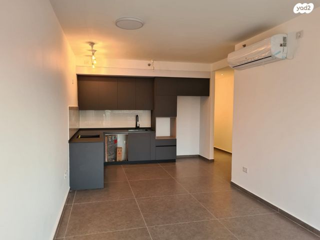 מעפילי אגוז 66