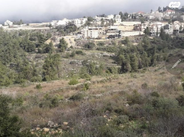 אבו גוש
