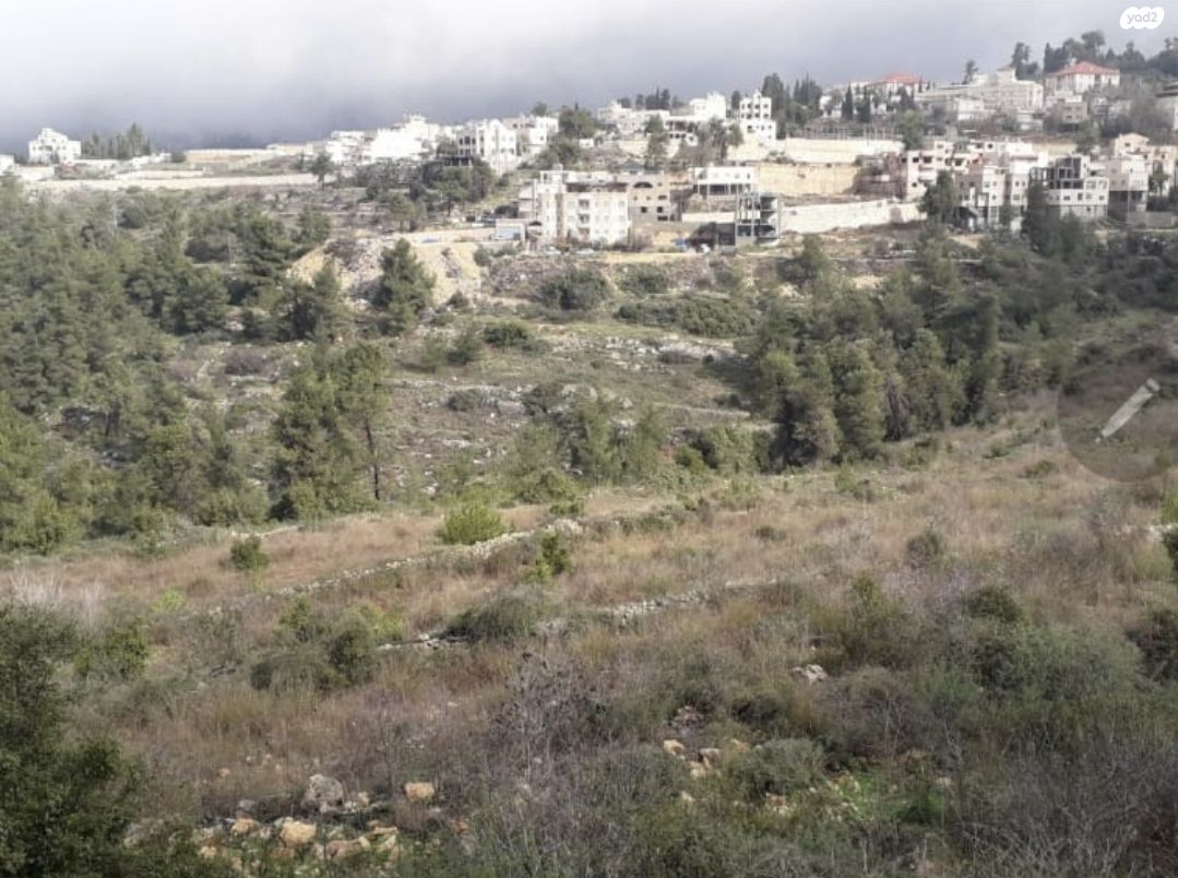 אבו גוש