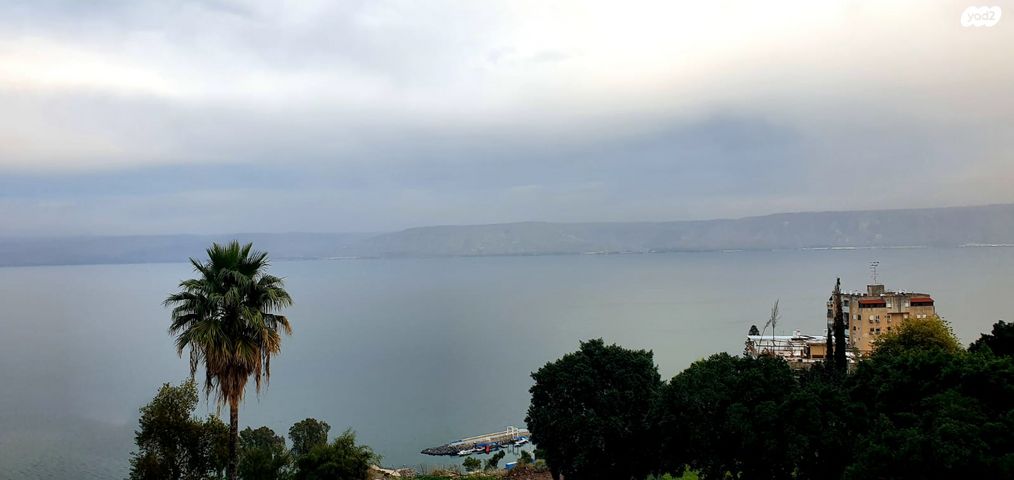 שדרות הרצל 19