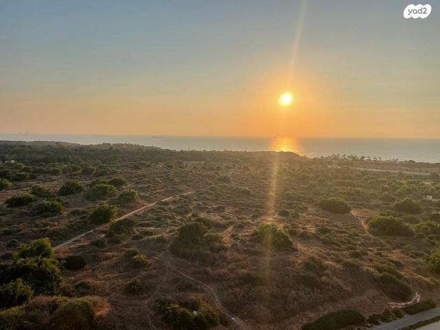 שדרות דוד בן גוריון 11