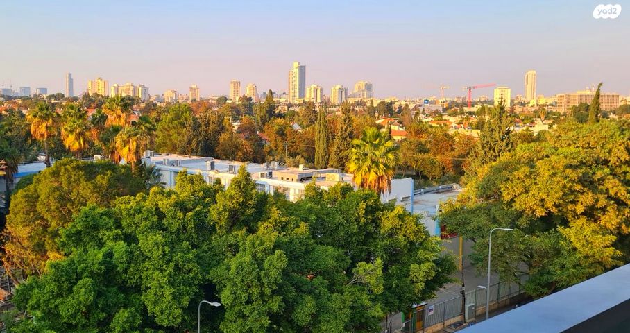 מעפילי אגוז 66