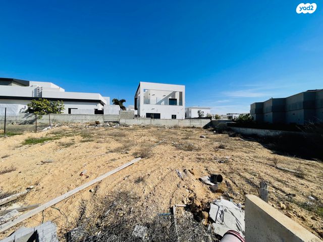 מגרשים, כלניות, באר שבע