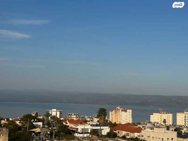 ציון בהלול 