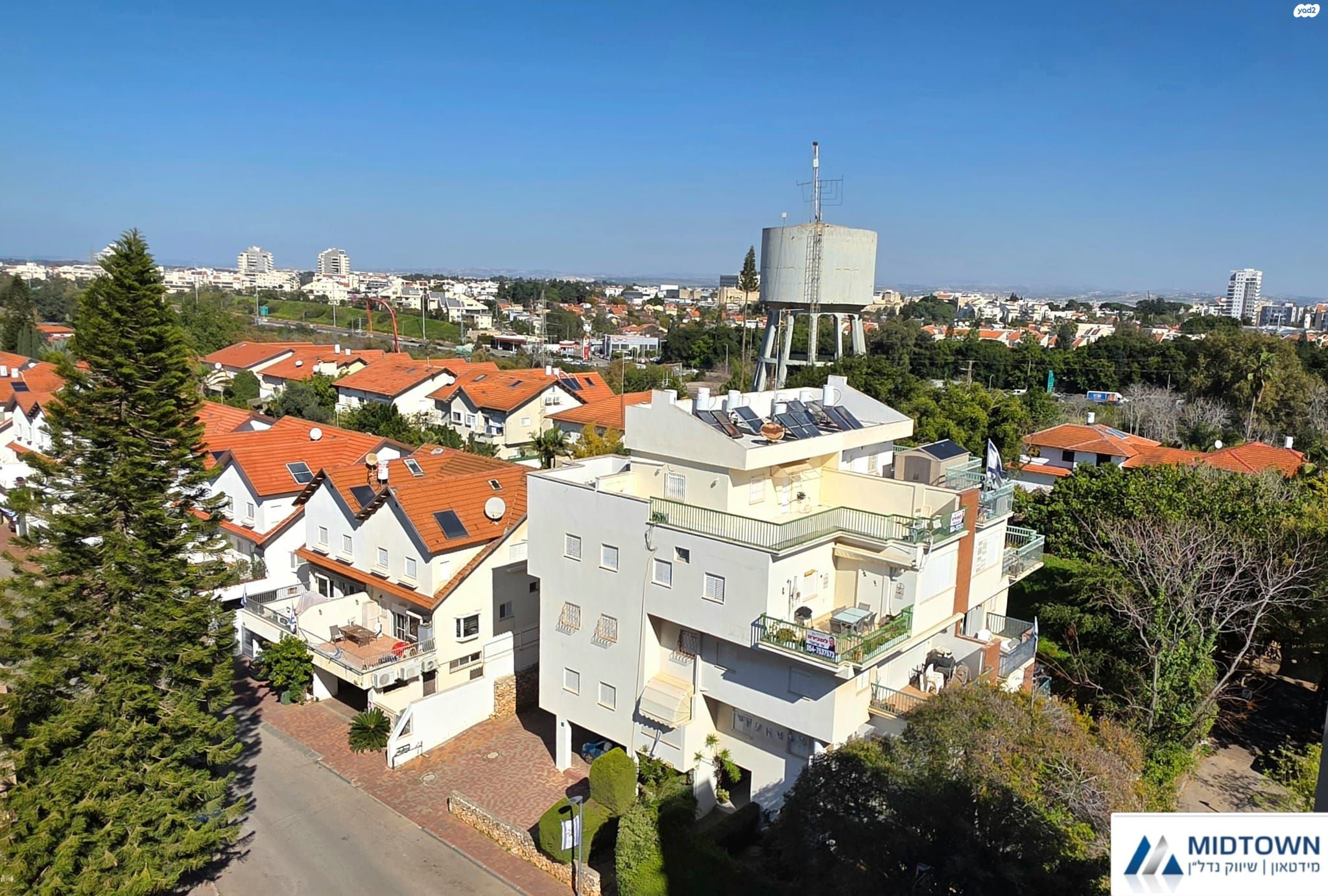 דוד אלעזר 