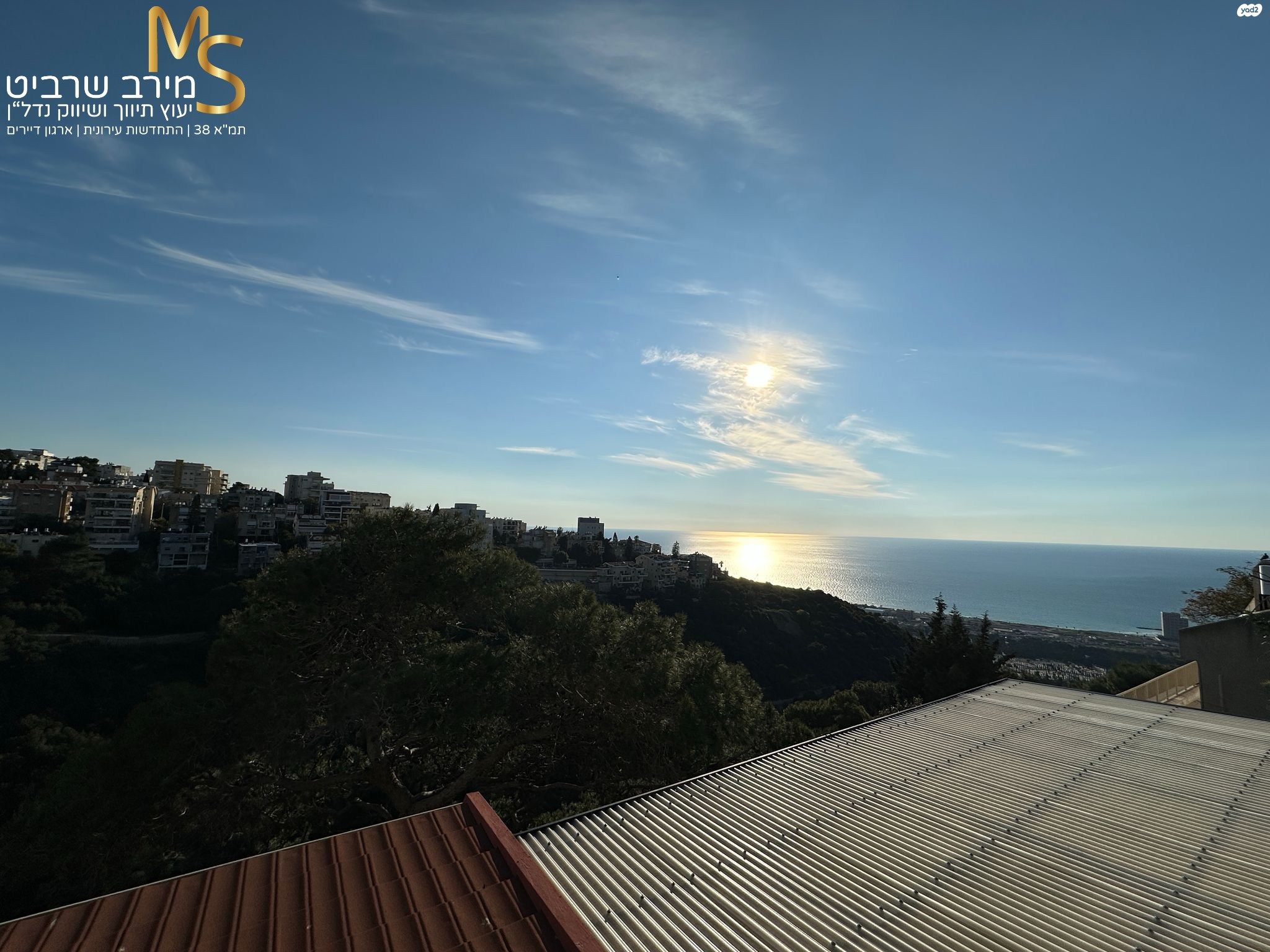 רענן 