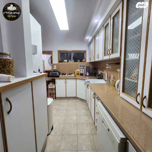 דירה, הרצל, רמב"ם, טירת כרמל