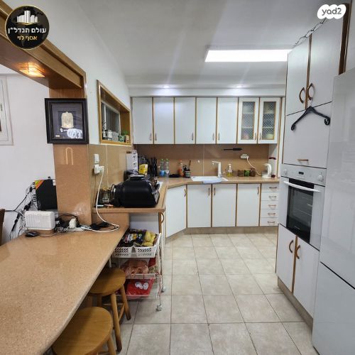 דירה, הרצל, רמב"ם, טירת כרמל