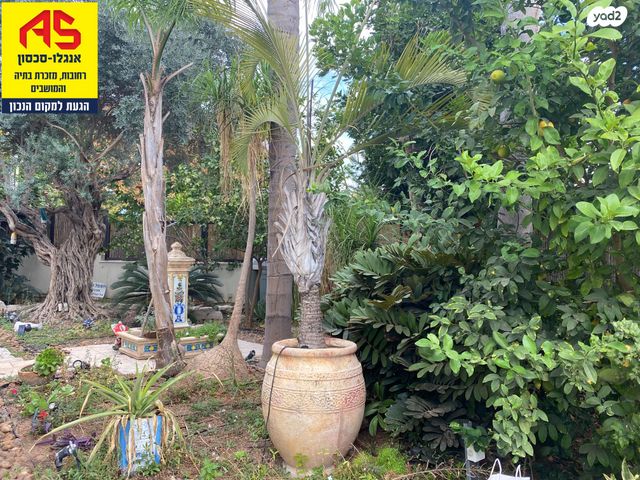 בית פרטי/ קוטג', חוחית, נווה עמית, רחובות