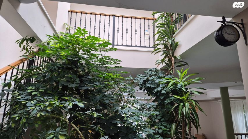 דו משפחתי, קיסריה