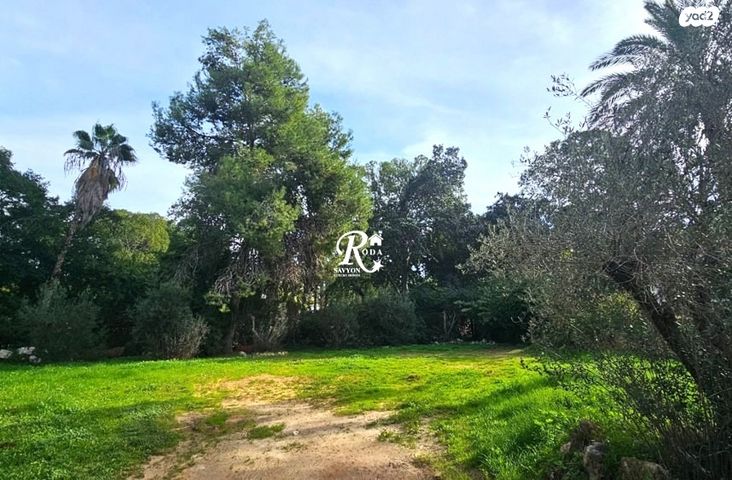 בית פרטי/ קוטג', סביון