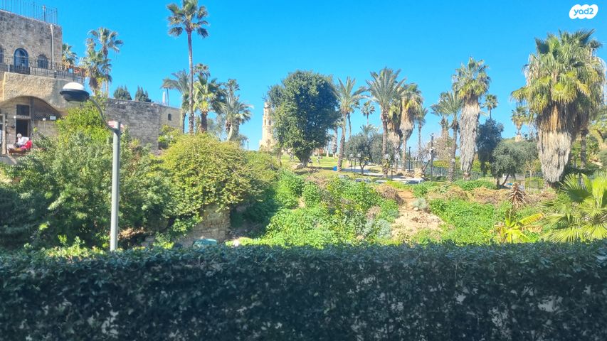 דירה, לואי פסטר, יפו העתיקה, תל אביב יפו