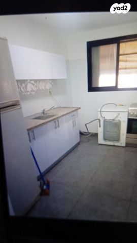 דירה, התנאים 2, ג'סי כהן, חולון