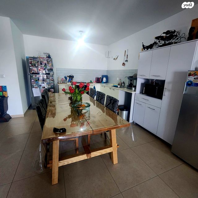 דירה, האגמית, החותרים, טירת כרמל