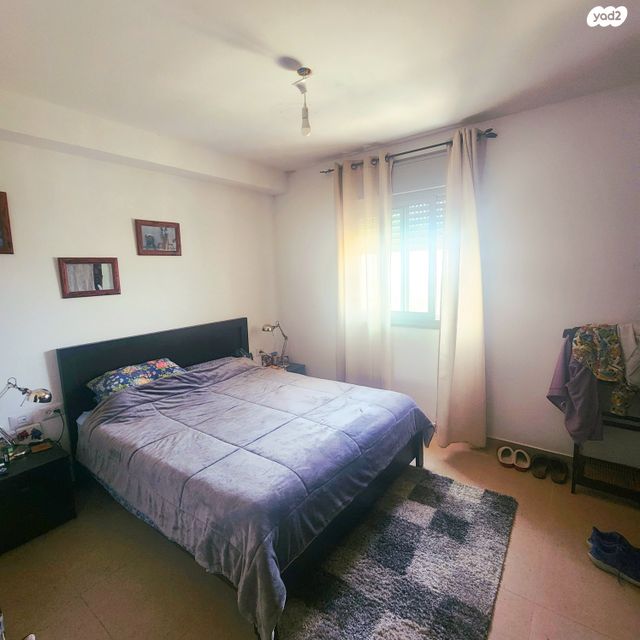 דירה, האגמית, החותרים, טירת כרמל