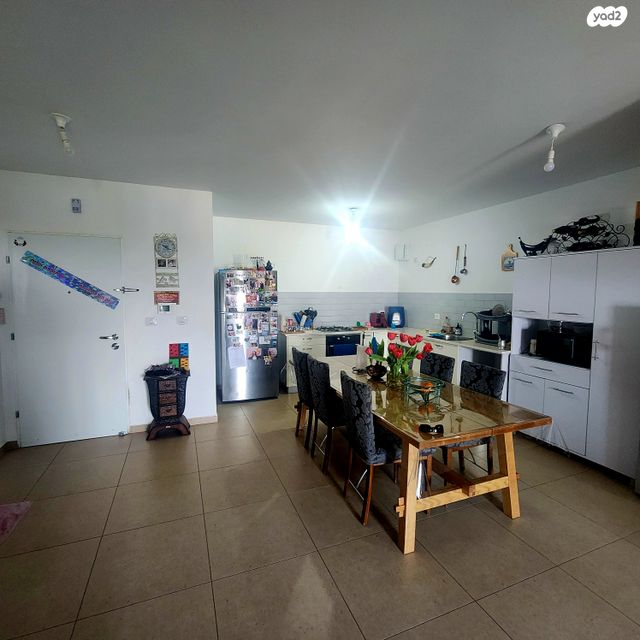 דירה, האגמית, החותרים, טירת כרמל