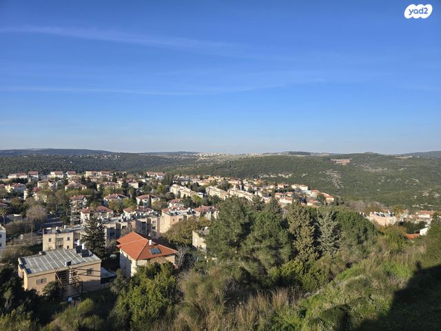 מעלה הבנים 311