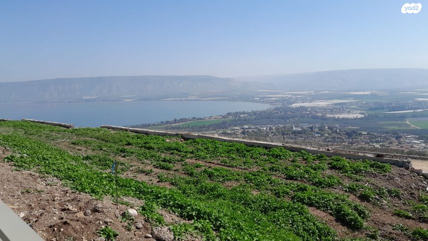 פוריה כפר עבודה