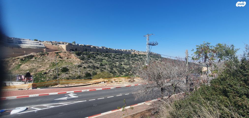 מגרשים, עץ אפרים