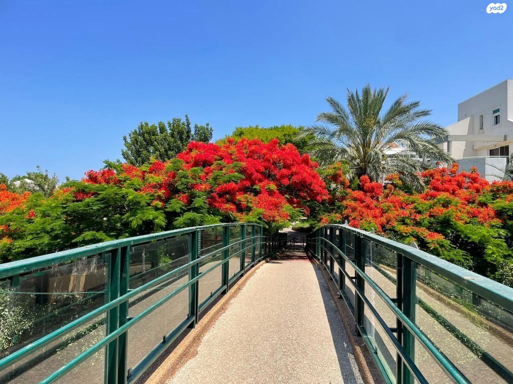 שדרות בגין 
