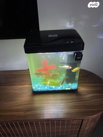 תמונת מודעה - חיות מחמד