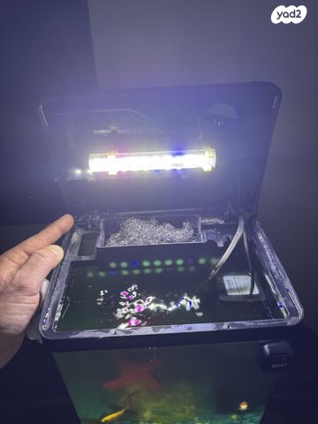 אביזרים | אקווריום