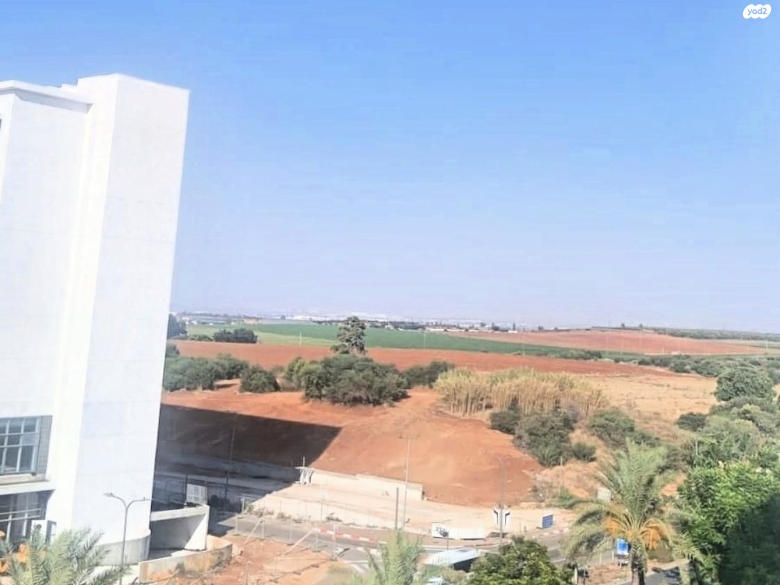 הצופים 15