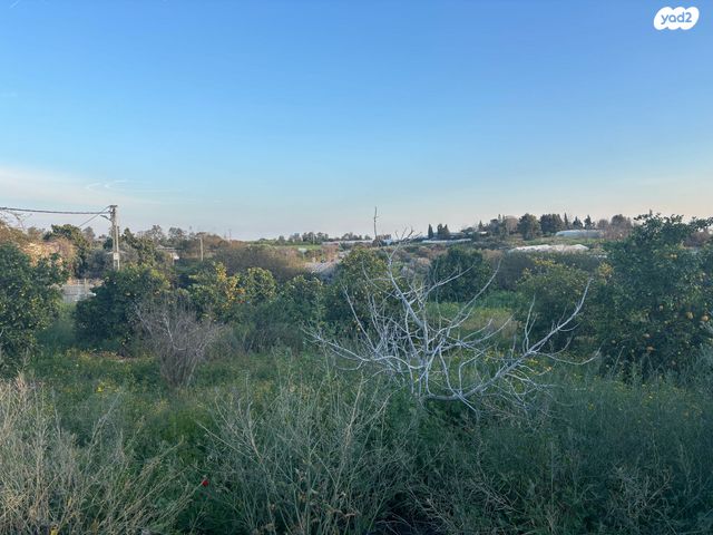 משק חקלאי/ נחלה