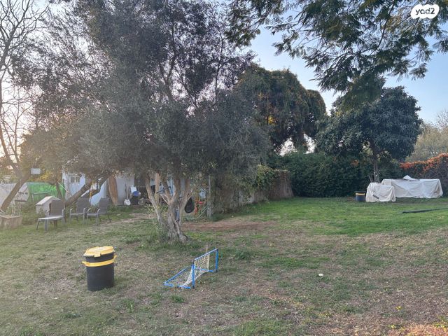 משק חקלאי/ נחלה, נטעים