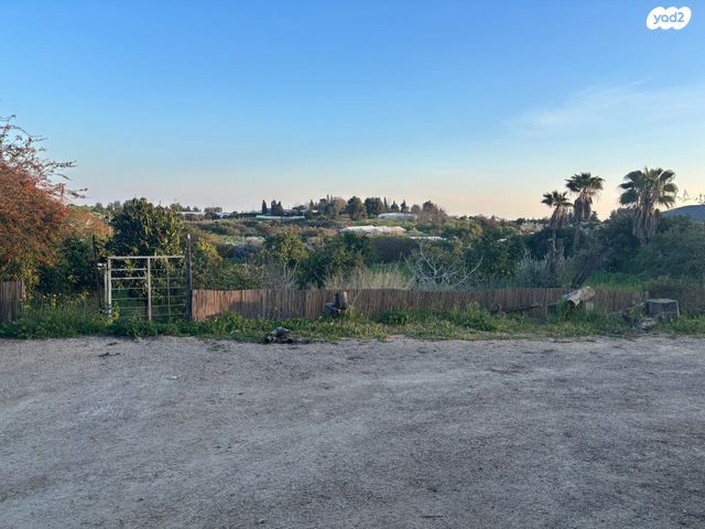 משק חקלאי/ נחלה, נטעים