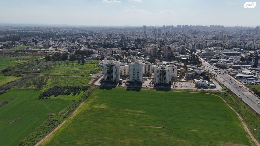 שמעון ויזנטל 1