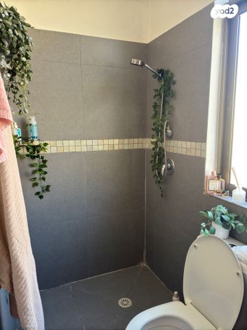 דירה, צבי הרמן שפירא, אברמוביץ', ראשון לציון